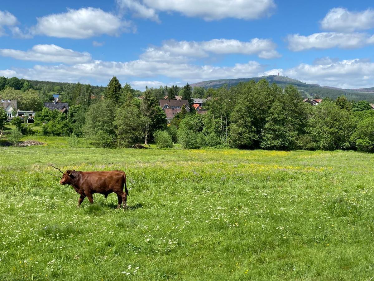 Berglage - Das Urlaubzuhause เบราน์ลาเกอ ภายนอก รูปภาพ